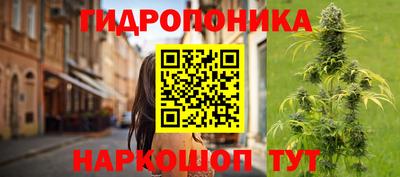 прущие крисы Севастополь