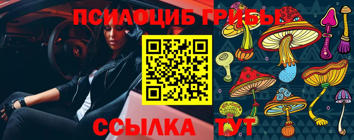 Псилоцибиновые грибы прущие грибы Арзамас